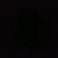 グンさまー-白日-King Gnu