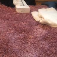 ふみちゅ-L.Miranic-LiSA