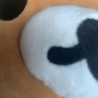 歌うクマ-朝ごはんの歌-手嶌葵