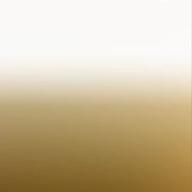 KOMAI-大丈夫サンライズ-豆柴の大群