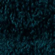 ✨モノクロ✨-home-木山裕策