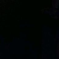 レッサー-未来-コブクロ