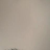 ゆーーう-夜空に咲く花-MEGARYU