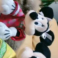 紀葉🌿💖-Sparkle -輝きを信じて--May J.