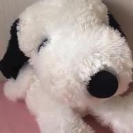 PIYO-憂、燦々(ゆう、さんさん)-クリープハイプ