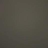 りょうた-猫-DISH//