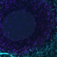 Saku＊Saku-ぼくたちの失敗-森田童子