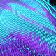 TARA-Get Along Together-山根康広