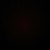 東雲ゆか-猫-DISH//