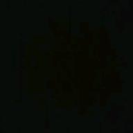 どんすけ-紅-X JAPAN(X)