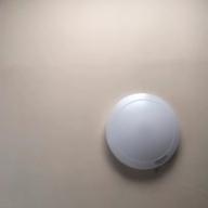 YSDMK-マリーゴールド-あいみょん