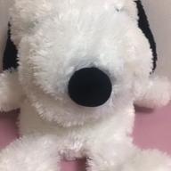 PIYO-シルエット-KANA-BOON