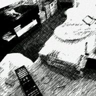 ミッコン🎵-ひまわりの約束-秦 基博(ハタ・モトヒロ)