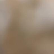 ももきち-秋桜-山口百恵