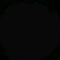 ここたぬ-マイ フレンド-ZARD