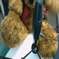 JAM@姉-紅蓮華-LiSA