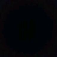 ブーちゃま(* ́ω`*)-Beauty & Stupid-hide