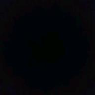 ブーちゃま(* ́ω`*)-ピンク スパイダー-hide with Spread Beaver