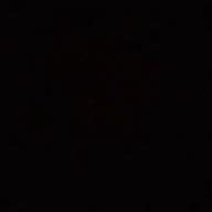 忍びの〇〇まるまる🎸🐈-星になれたら-Mr.Children