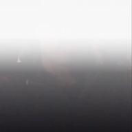 くにちゃん-ワタリドリ-[ALEXANDROS]