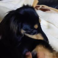 チャン=イーヌウ-Week End-星野源