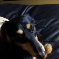 チャン=イーヌウ-炎のさだめ-TETSU