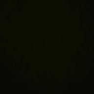 marshmallow-カブトムシ-aiko