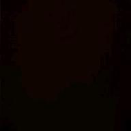 shion-世界が終るまでは…-WANDS