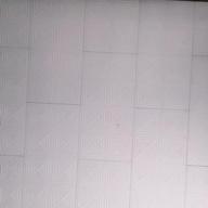 imonegi-飛び方を忘れた小さな鳥-MISIA