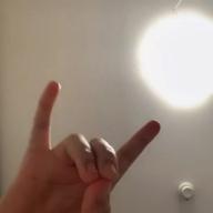 酔っぱらい時に現れます-猫-DISH//