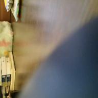 🐻ちさ🐻-やさしいキスをして-DREAMS COME TRUE