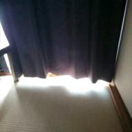 ぽちゃこ-last cross-光岡昌美