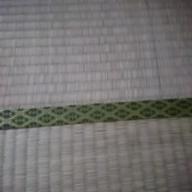 ぽちゃこ-君をのせて-井上あずみ