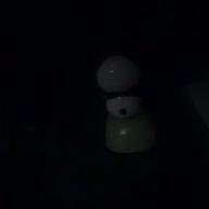 たぬきのポン太🌟-Tomorrow never knows-Mr.Children