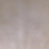 ちゃむ🐨-Only Human-K