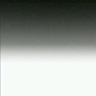 さくやん-ロビンソン-スピッツ