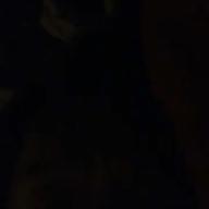 サスケTシャツ@singer-Tomorrow never knows-Mr.Children