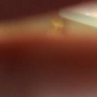 meika-パプリカ-Foorin