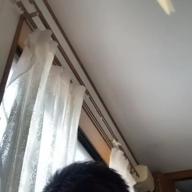 白いご飯-夜に駆ける-YOASOBI