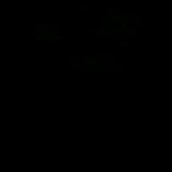 アレグリア-奈落の花-島みやえい子