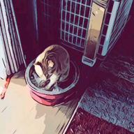 bon0213-三日月-絢香