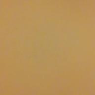 さんま大阪-歌うたいのバラッド-斉藤和義