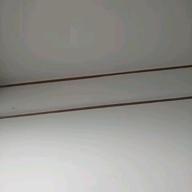 世界の豆アジ-バラ色の日々-THE YELLOW MONKEY