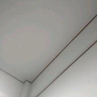 世界の豆アジ-楽園-THE YELLOW MONKEY