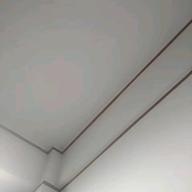 世界の豆アジ-プライマル。-THE YELLOW MONKEY