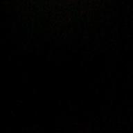 タイガー-心絵-ロードオブメジャー