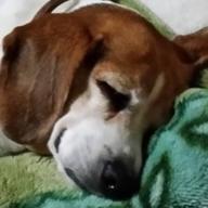 ヨコジビット-Fight the night-ONE OK ROCK