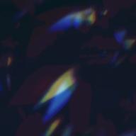 うぴ👆✨戦闘中💣-冬の花-宮本浩次