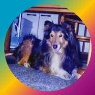 🔷 たぃぞぉ  🐘 🔷-奇跡の地球-桑田佳祐&Mr.Children