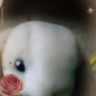 みつばち-にんげんっていいな-中島義実/ヤング・フレッシュ